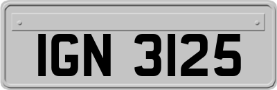 IGN3125