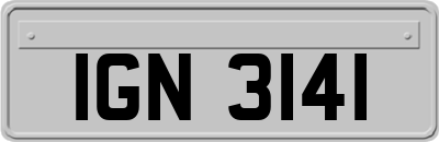 IGN3141