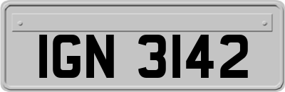 IGN3142