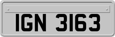 IGN3163