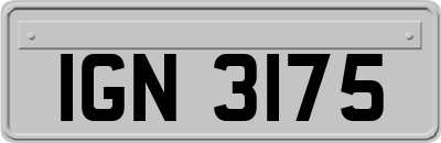IGN3175