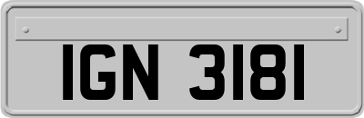 IGN3181