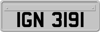 IGN3191