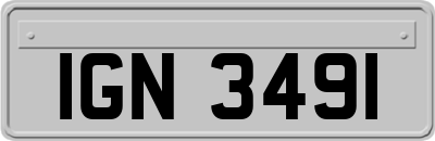 IGN3491