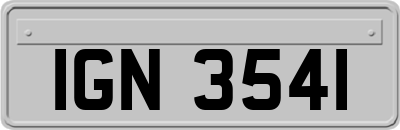 IGN3541