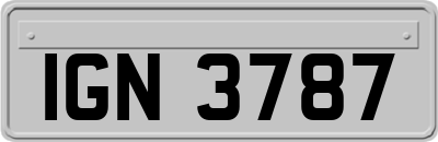 IGN3787