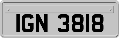 IGN3818
