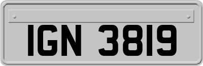 IGN3819