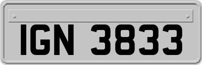IGN3833