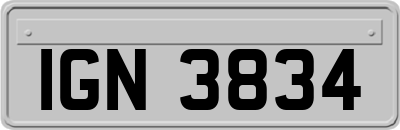IGN3834