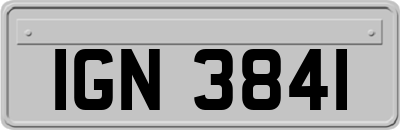 IGN3841
