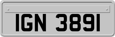 IGN3891