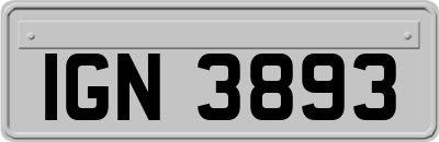 IGN3893