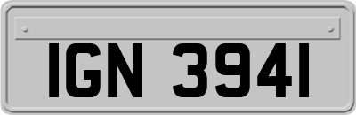 IGN3941
