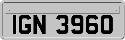 IGN3960