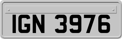 IGN3976