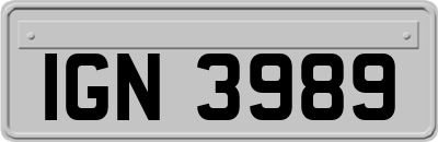 IGN3989