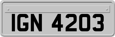 IGN4203