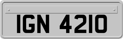 IGN4210