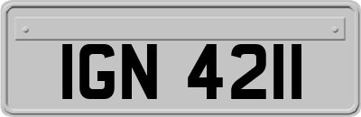 IGN4211