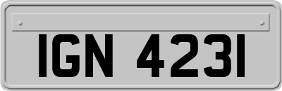 IGN4231