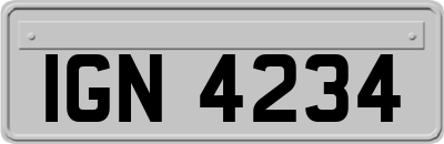 IGN4234