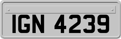 IGN4239