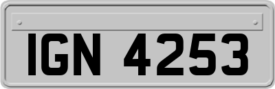 IGN4253