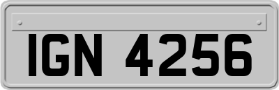 IGN4256