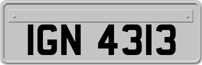 IGN4313