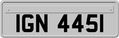 IGN4451