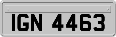 IGN4463