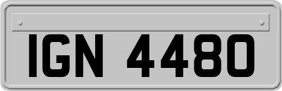IGN4480