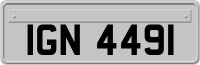 IGN4491