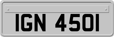 IGN4501