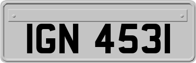 IGN4531