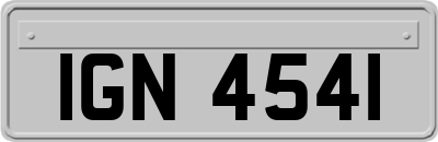 IGN4541