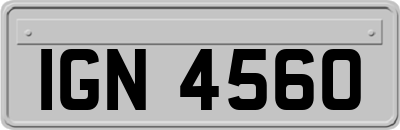 IGN4560