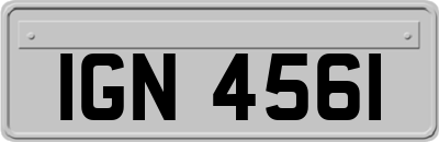 IGN4561