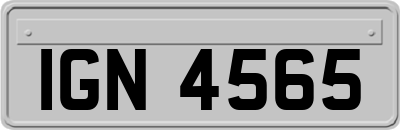 IGN4565