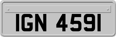 IGN4591
