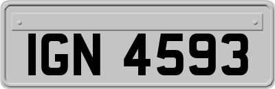 IGN4593