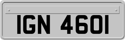 IGN4601