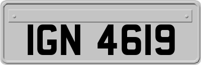 IGN4619