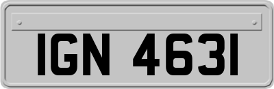 IGN4631