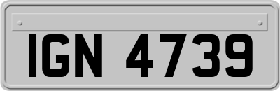 IGN4739