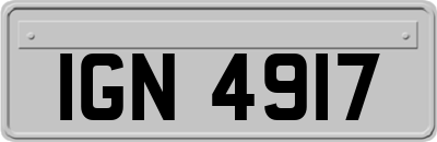 IGN4917
