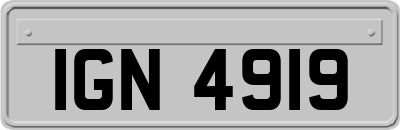 IGN4919