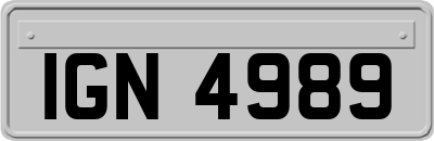 IGN4989