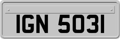 IGN5031